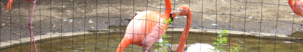 靴用滑り止めの速報をUPしました。