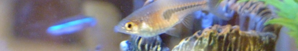 マスクについて書いてみました。