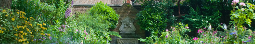 日本昔ばなしが気になっています。