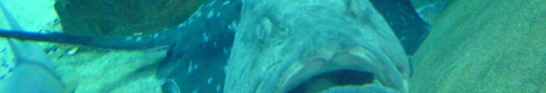 子供用バッグの関連ニュース